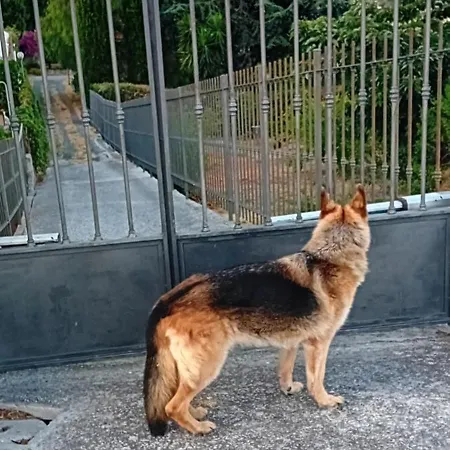 Casa Capo Apartmán Sanremo