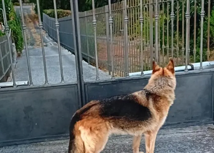 Casa Capo Apartmán Sanremo
