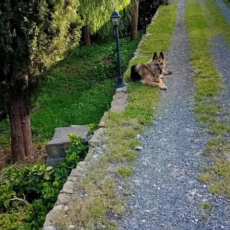 Casa Capo Lejlighed