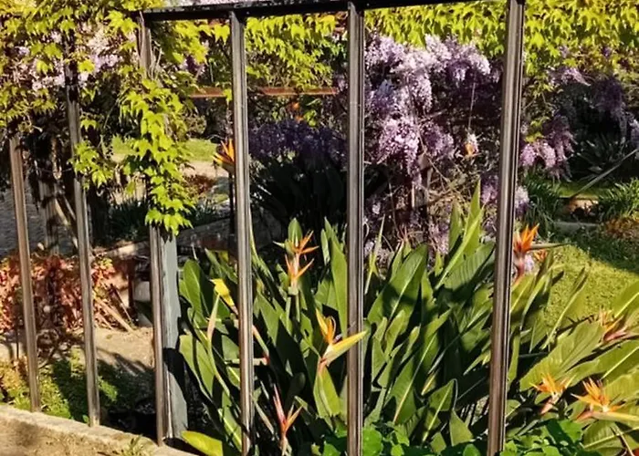 Lejlighed Casa Capo *